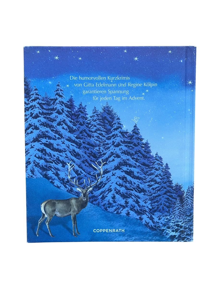 Libri: Adventskalenderbuch – Usato da Bonstetten venduto da zweitihand.shop 1
