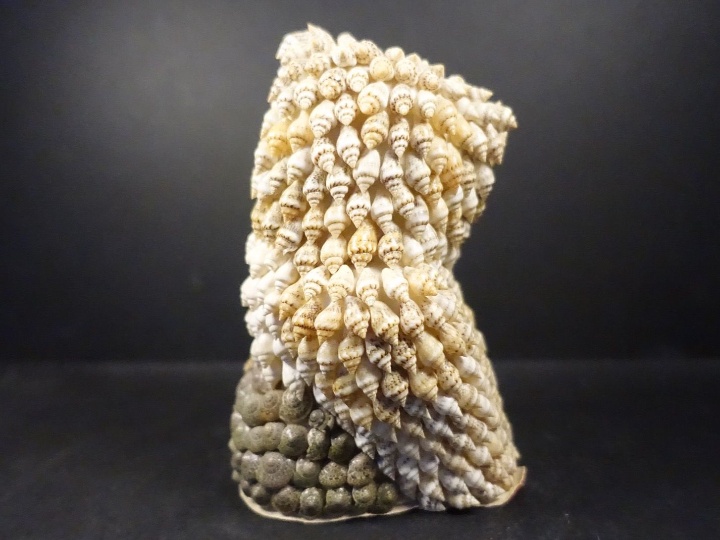 Statuette: Eule aus kleinen Muscheln – Usato da Russikon venduto da Eulenfeder 3