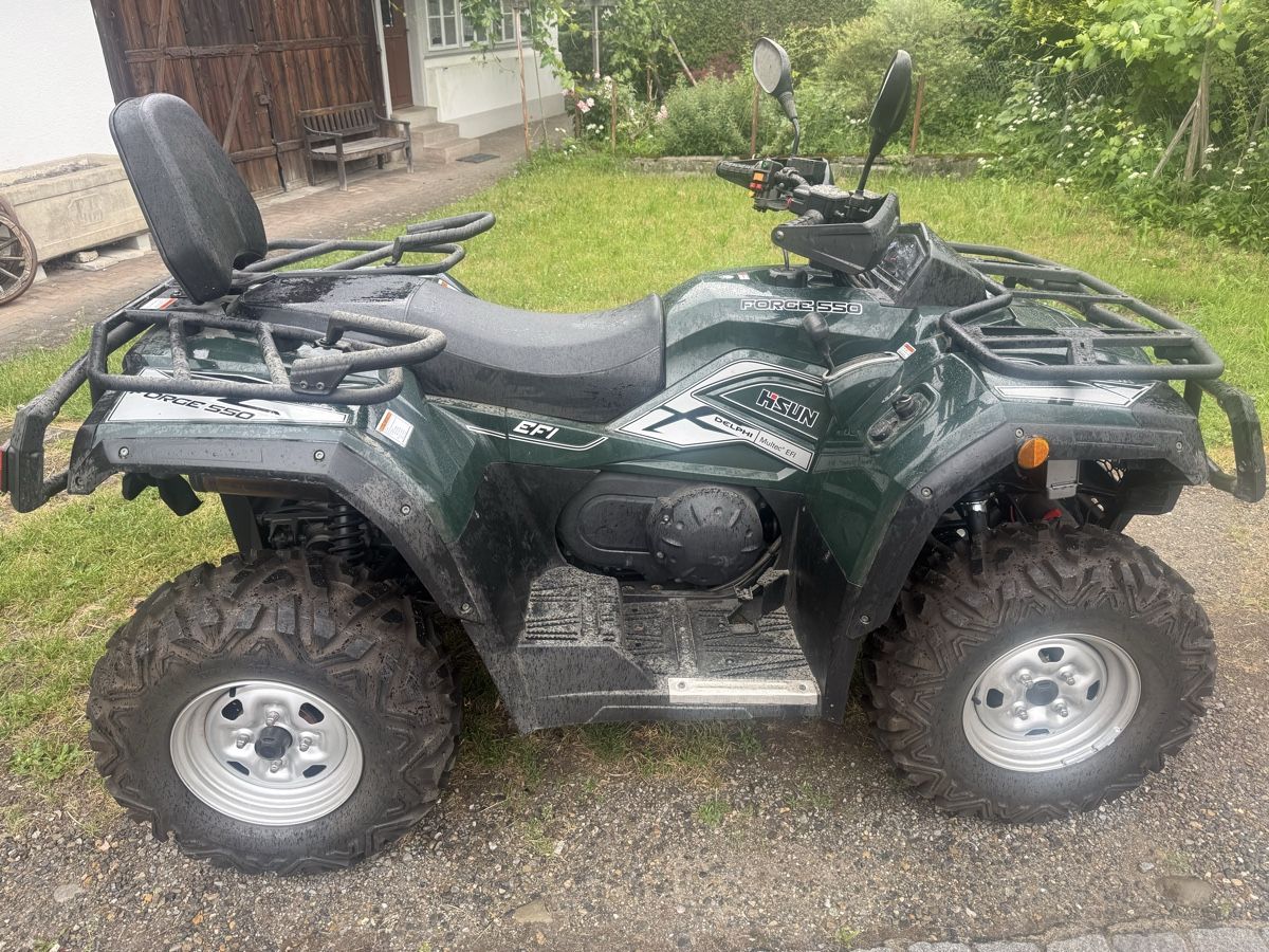 ATV / Quad: Hisun HS550 ATV Quad – Usato da Illnau venduto da Bugak