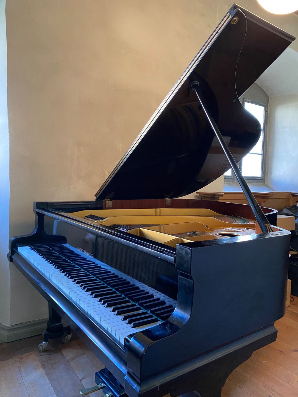 Strumenti musicali: Aug. Förster Flügel 1.65 – Usato da Trogen venduto da choropax 7