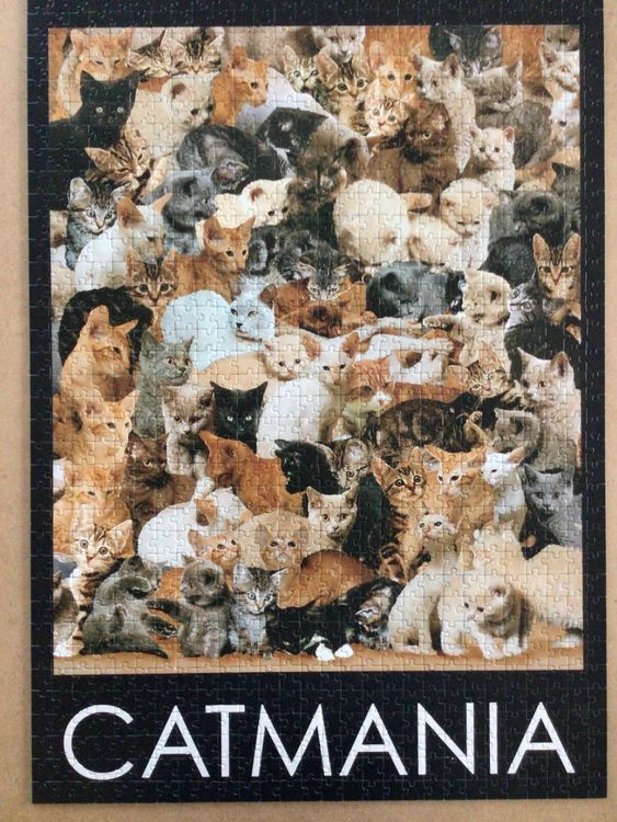 Puzzle Catmania 1000 Teile Kaufen auf Ricardo