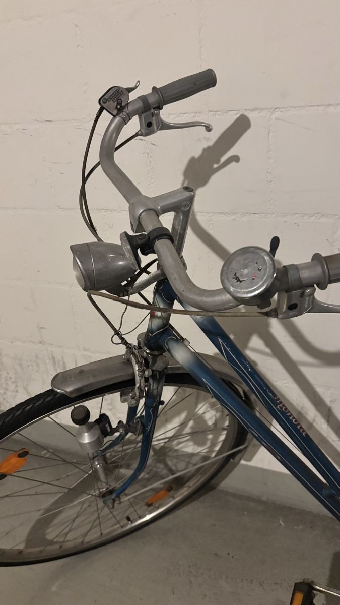 Mondia Biciclette: Altes Damenfahrrad  – Usato da Steffisburg venduto da nin_xg8h 1