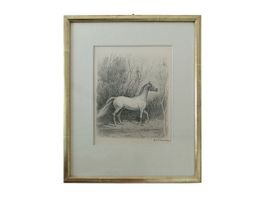 IWAN E. HUGENTOBLER Original Pferde-Zeichnung