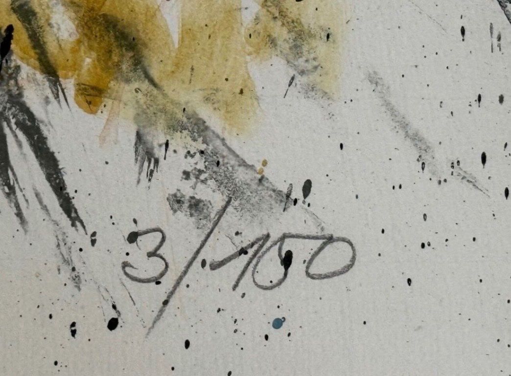 Arts picturaux & lithographies: Fritz Hug, handsigniert und nummeriert – D'occasion à Rain par Pic-Ass 3