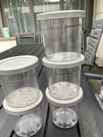 5 Ninja Dessert Tubs