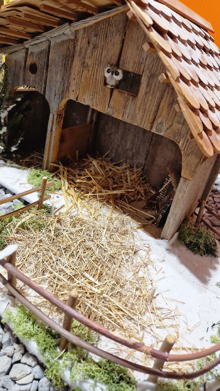 Tutte le decorazioni: Krippe – Usato da Giswil venduto da Jndira 6
