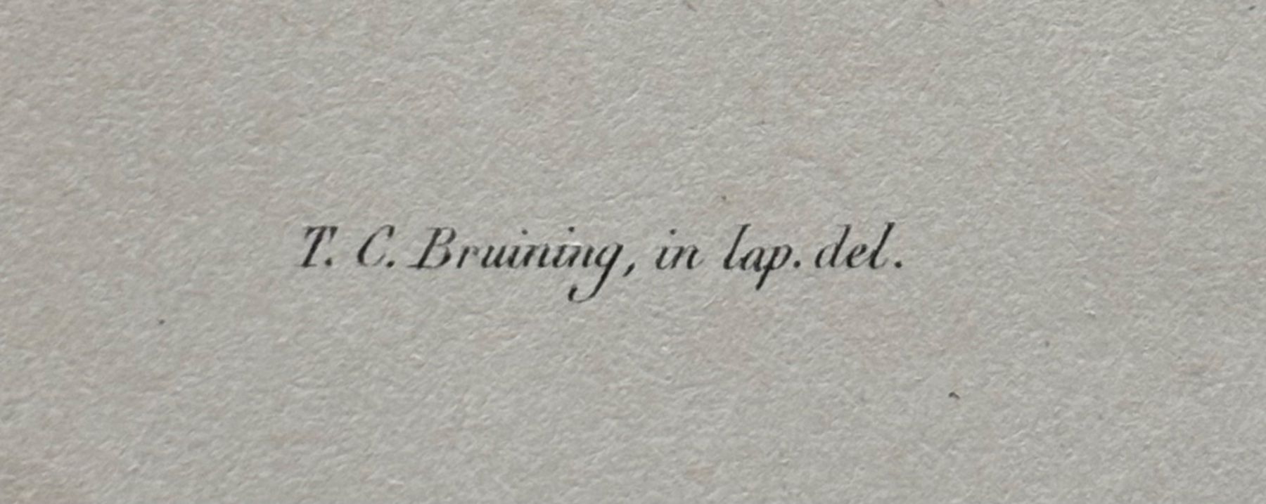 Grafica & Litografie: Lithographie C.J. Temminck 1839, Echse, RAR!! – Usato da Frauenfeld venduto da Merk52 1