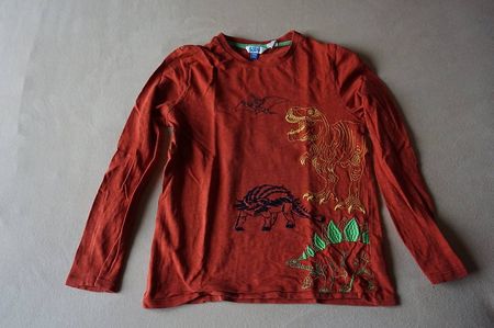 Dünner Pullover mit Dino Grösse 134