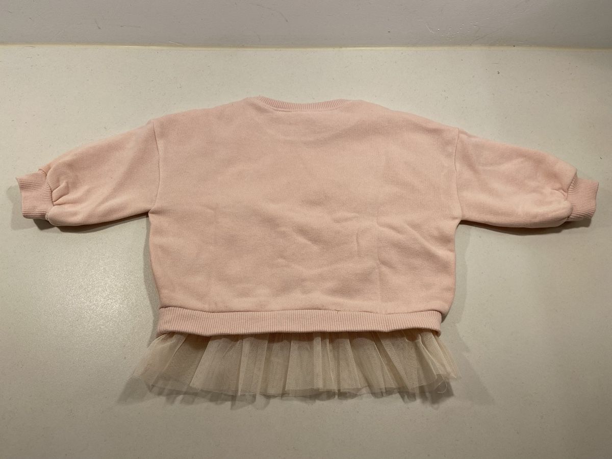 Maglioni & Felpe: NEXT Pullover Tüllrock Gr. 74 Rosa – Nuovo (secondo la descrizione) da Felsberg venduto da Riggel 1