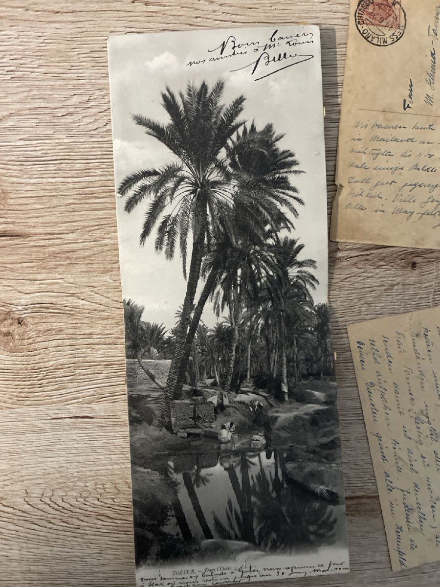Cartoline postali: Grosse Sammlung Ansichtskarten diverse Motive gebraucht – Usato da Chur venduto da eagle86federico 8