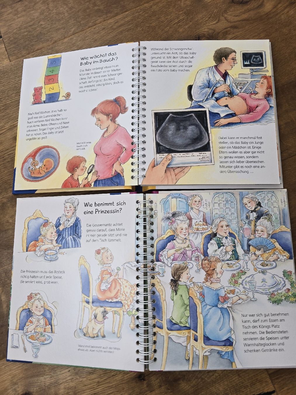 Libri: Kinderbücher-Set: "Wieso? Weshalb? Warum?" Junior, set – Usato da Wittenbach venduto da Tigerlili 5