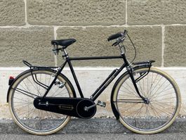 Carraro Hollandrad