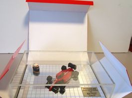 HECO MODELES FERRARI F1 643 A. PROST 1/43