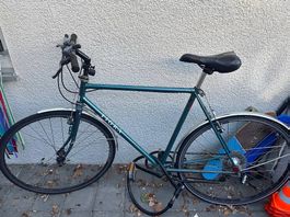 Velo Tigra