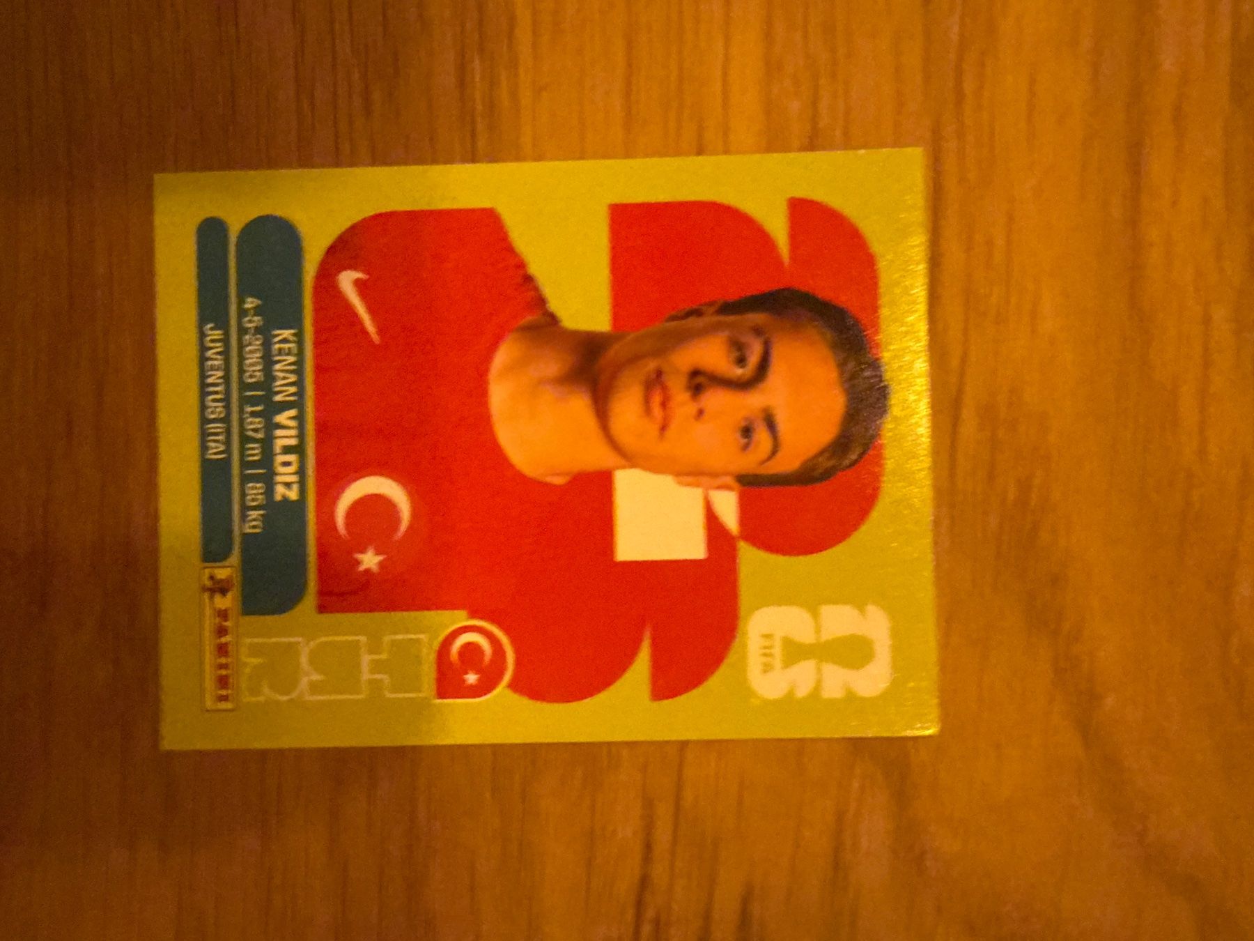 Panini Carte collezionabili: Panini – Usato da Langnau i. E. venduto da Acrjl