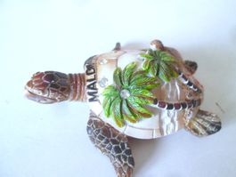 Maledivische Schildkröte
