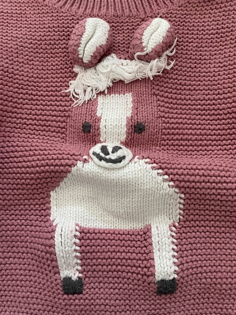 Maglioni & Felpe: Stella McCartney Pullover - Gr. 12 Monate – Usato da Brugg AG venduto da Elle_1 3
