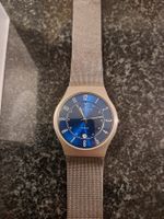 Skagen Denmark Herren Uhr