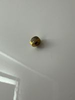 Pandora Charm