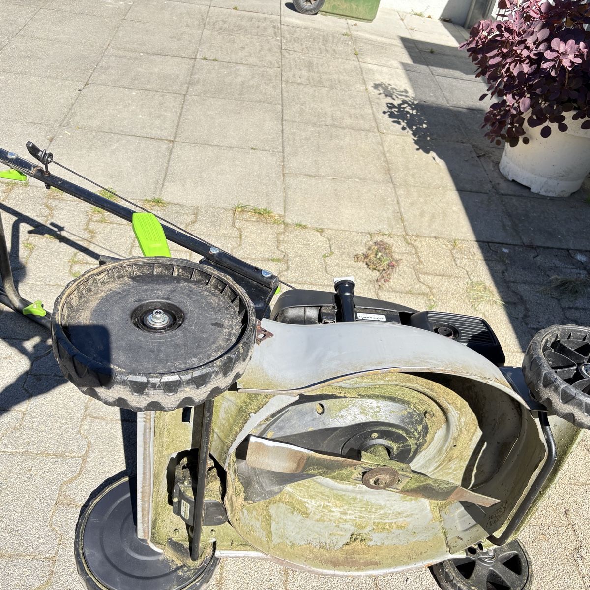 Honda Tagliaerba: AB 1 FR Rasenmäher RMB46 HE Honda – Usato da Hunzenschwil venduto da Fcv 3