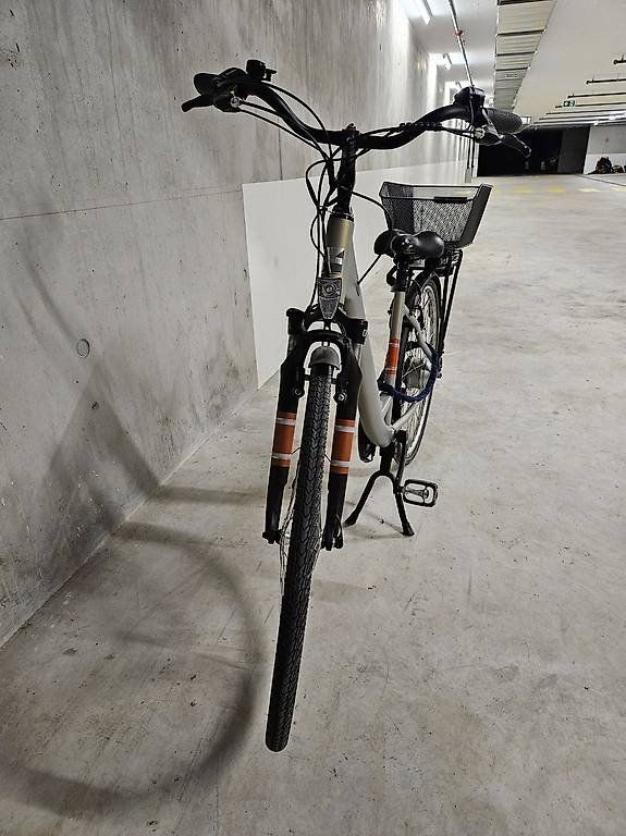 Zenith Bikes Velos: Vélo électrique / Ebike Zenith – Gebraucht aus Prangins von Ivy2016 1