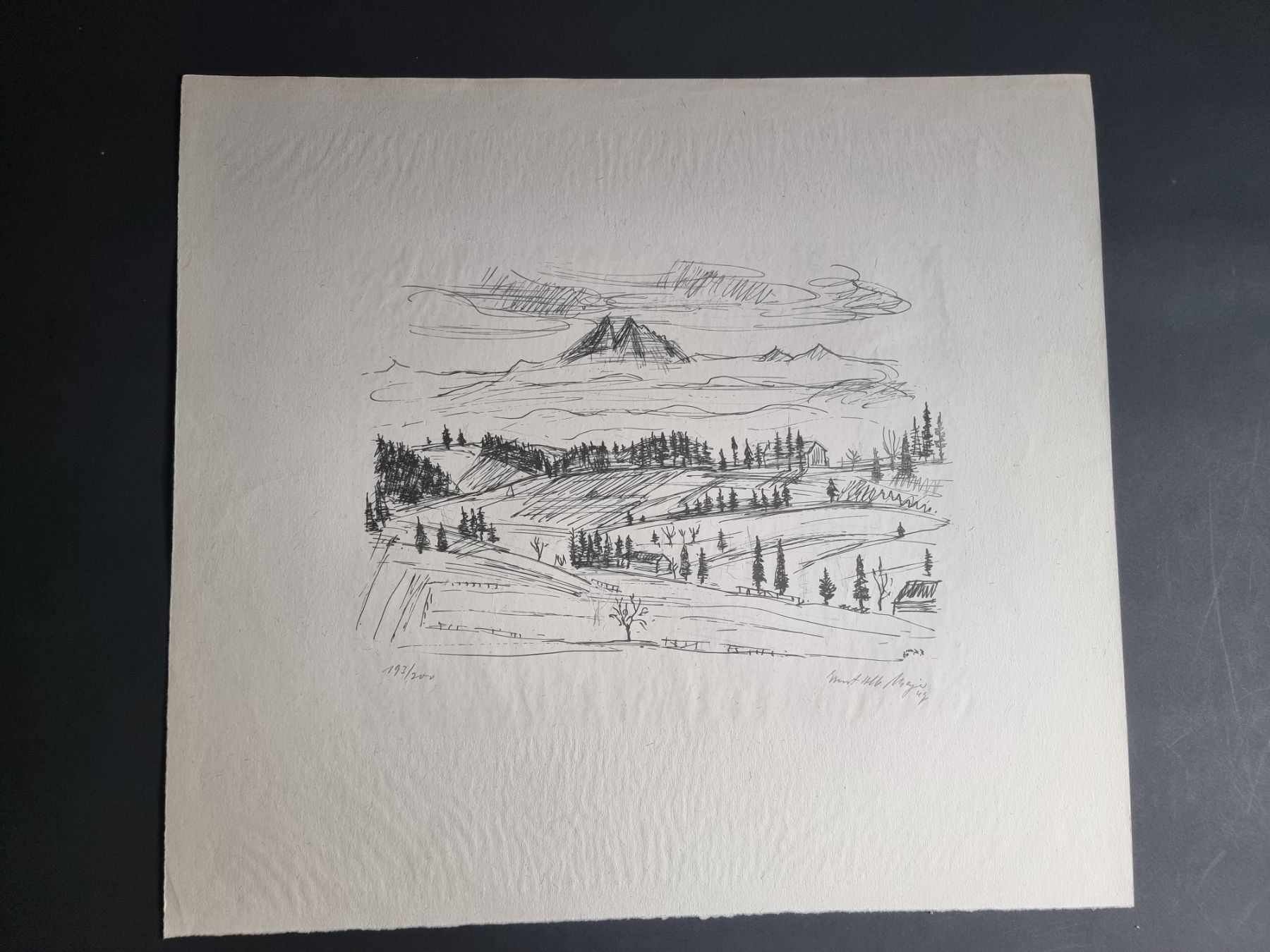 Grafica & Litografie: LANDSCHAFT LITHOGRAPHIE SIGNIERT NUMMERIERT – Usato da Gersau venduto da kunst-online