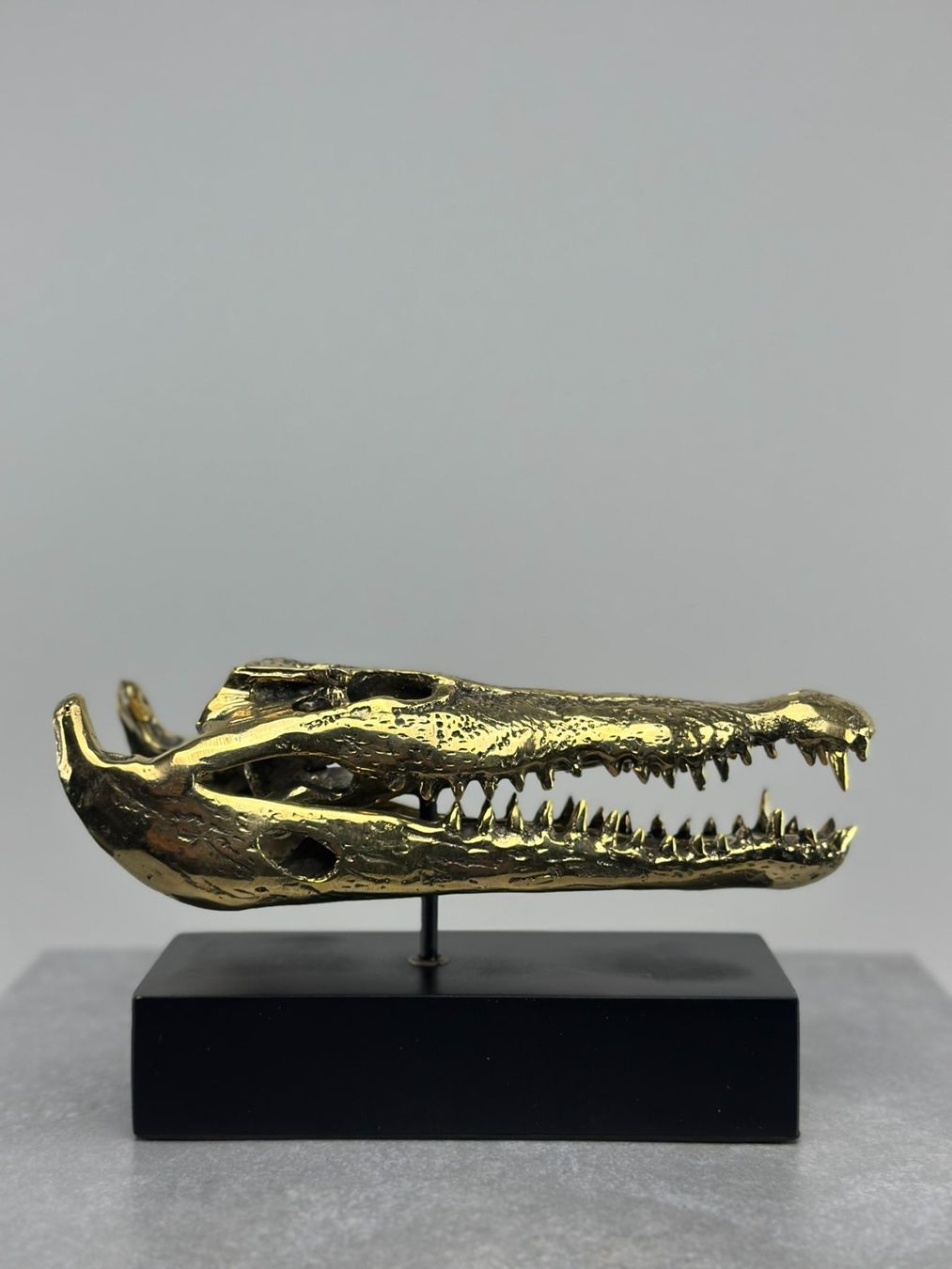 Skulpturen & Statuen: Crâne de Crocodile en Bronze 23 cm – Neu (gemäss Beschreibung) aus Lausanne von Toko_Lausanne