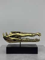 Crâne de Crocodile en Bronze 23 cm