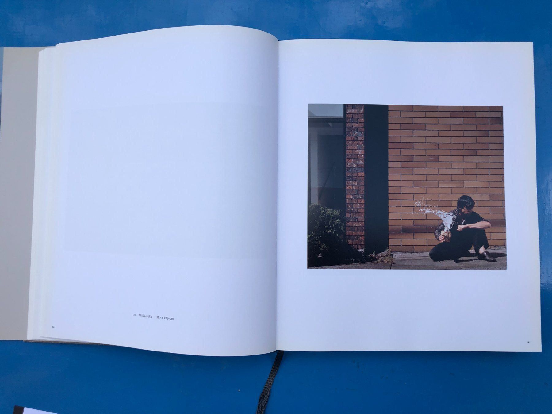 Libri: Jeff Wall: Catalogue Raisonné 1978–2004 – Usato da Zürich venduto da allp 5