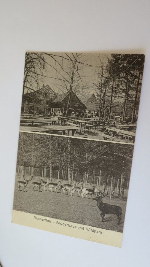 Cartoline postali: Winterthur - Bruderhaus mit Wildpark - 1926 – Usato da Jona venduto da centumprata