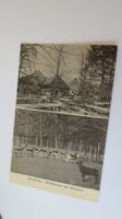 Winterthur - Bruderhaus mit Wildpark - 1926