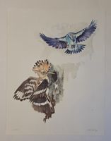 Willy Eugen Bär  Litho. Nr. handsign. Tier-Motiv,  50x40cm