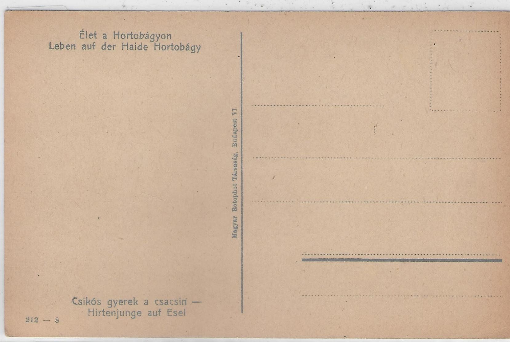 Cartes postales: Hirtenjunge auf Esel - Ungarn - Litho – D'occasion à Ettingen par Kartenplanet 1