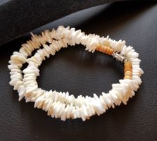 Muschelkette
