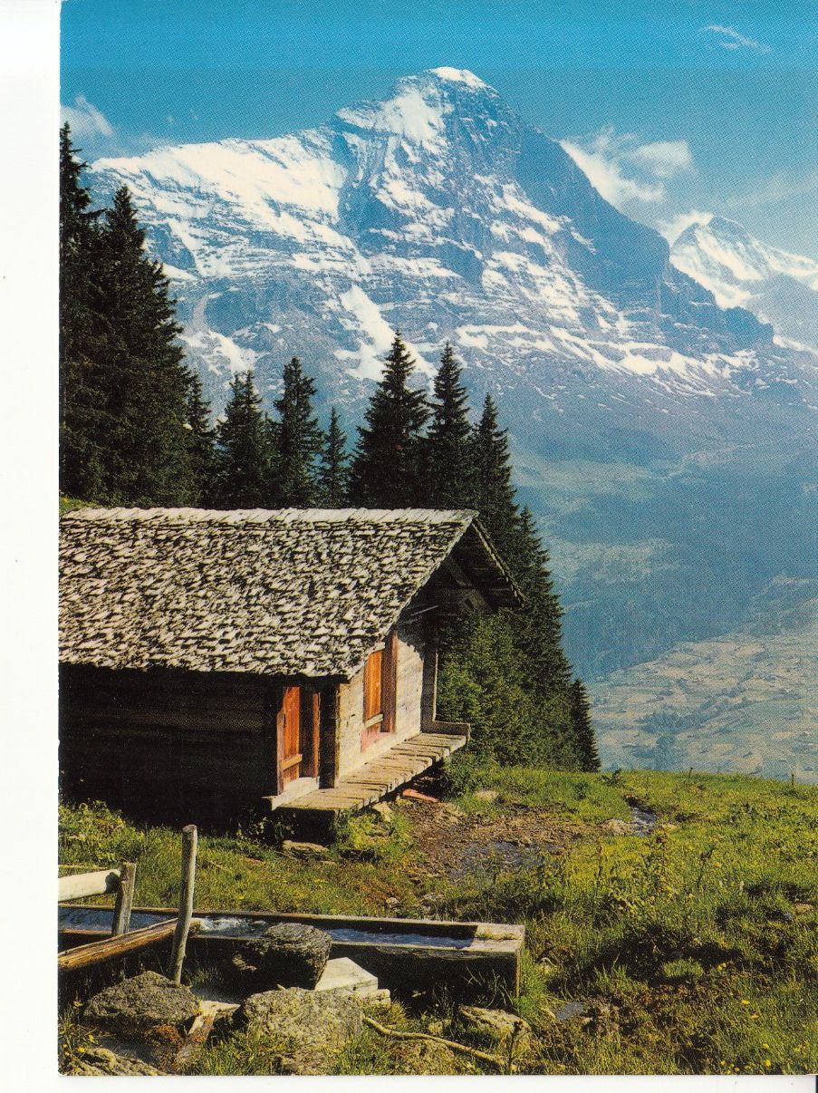 Cartoline postali: Eiger ca. 1970 – Usato da Bürglen TG venduto da StampGraf