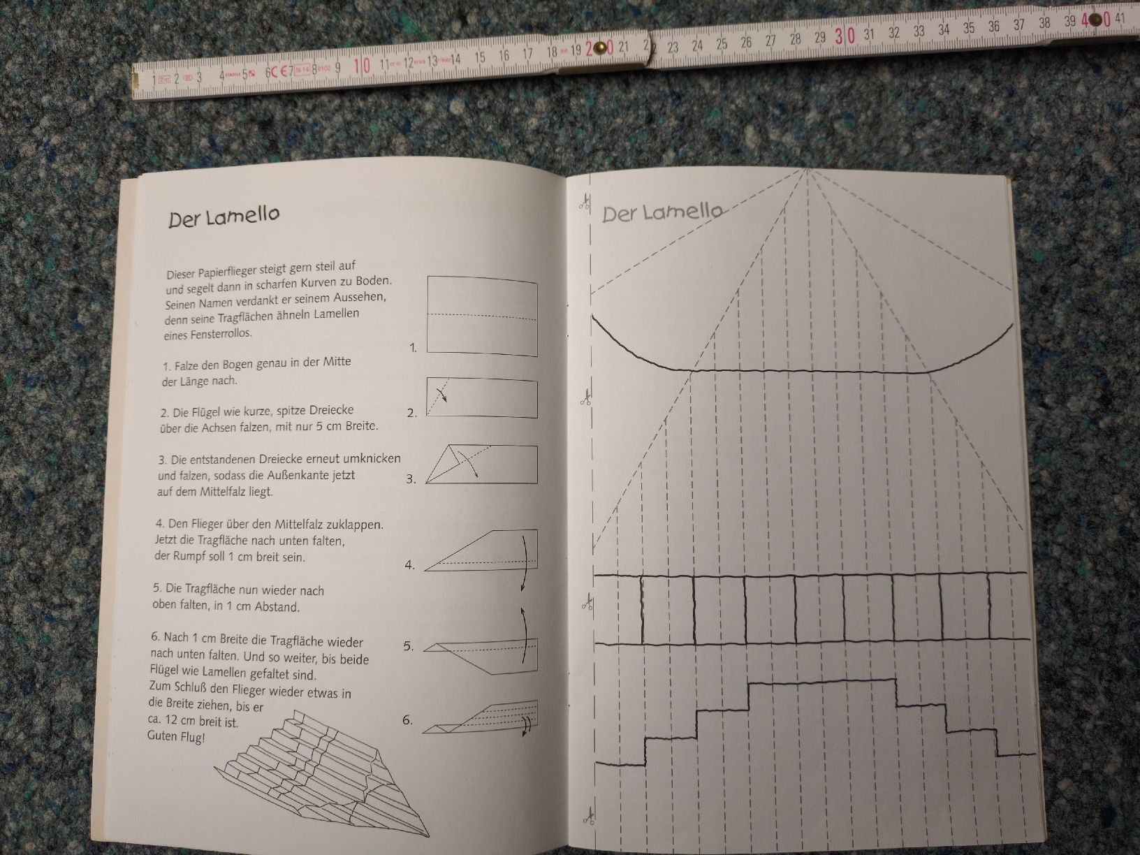 Libri: Papierfliegeranleitung Buch – Usato da Aadorf venduto da zuf06 1
