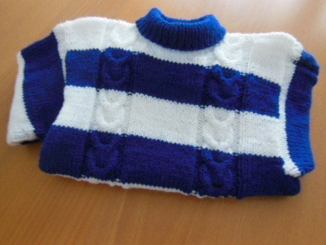 Maglioni & Felpe: Kinderpullover gr. 122 – Nuovo (secondo la descrizione) da Passugg venduto da alboschetto 3