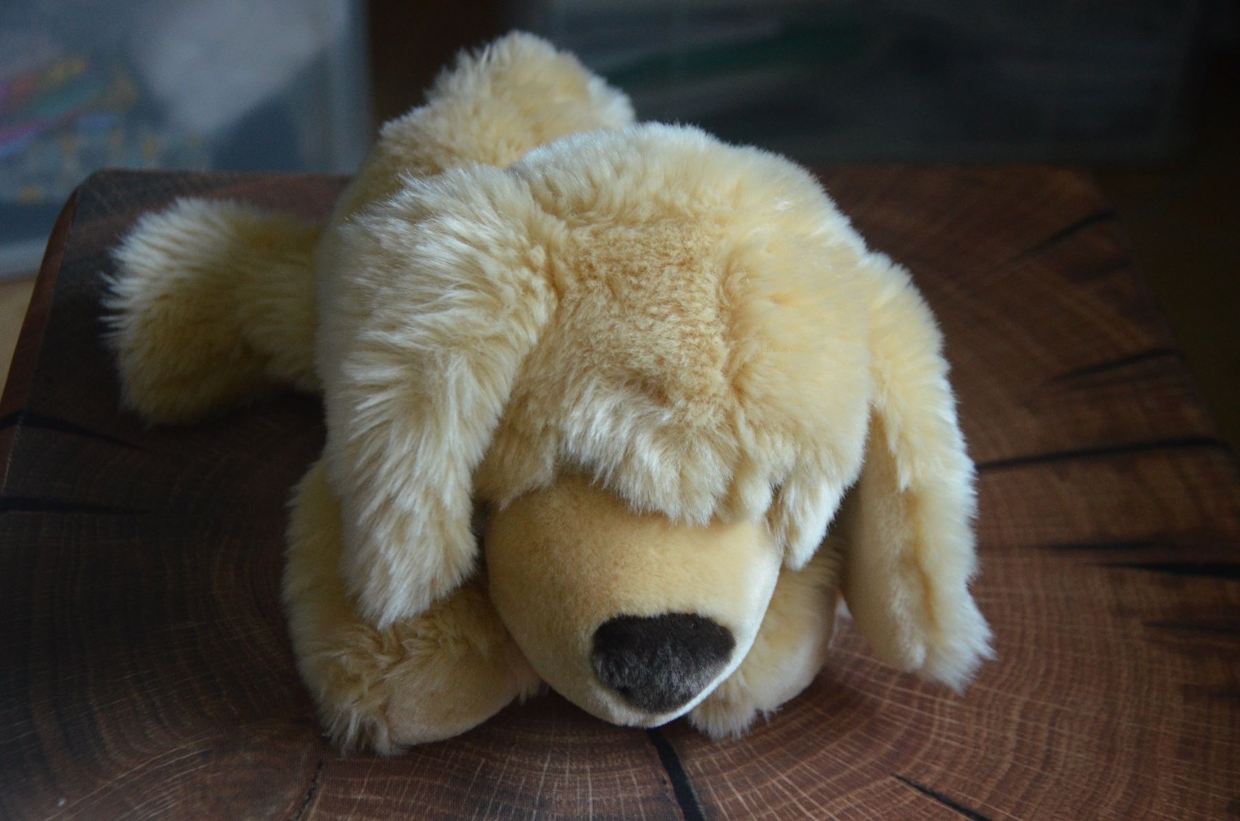 Sigikid Spielzeuge: PELUCHE - CM 33 - HUND SIGIKID – Gebraucht aus Chiasso von Dolly015