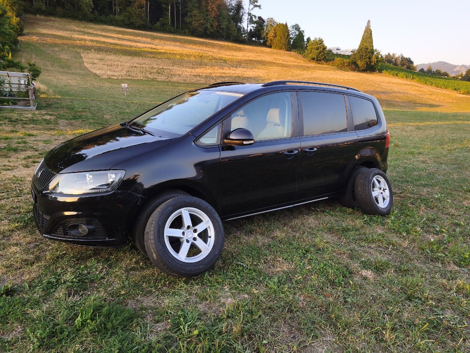 Seat Autos: Seat Alhambra 2.0 TDI – D'occasion à Uznach par Carlsson80 8