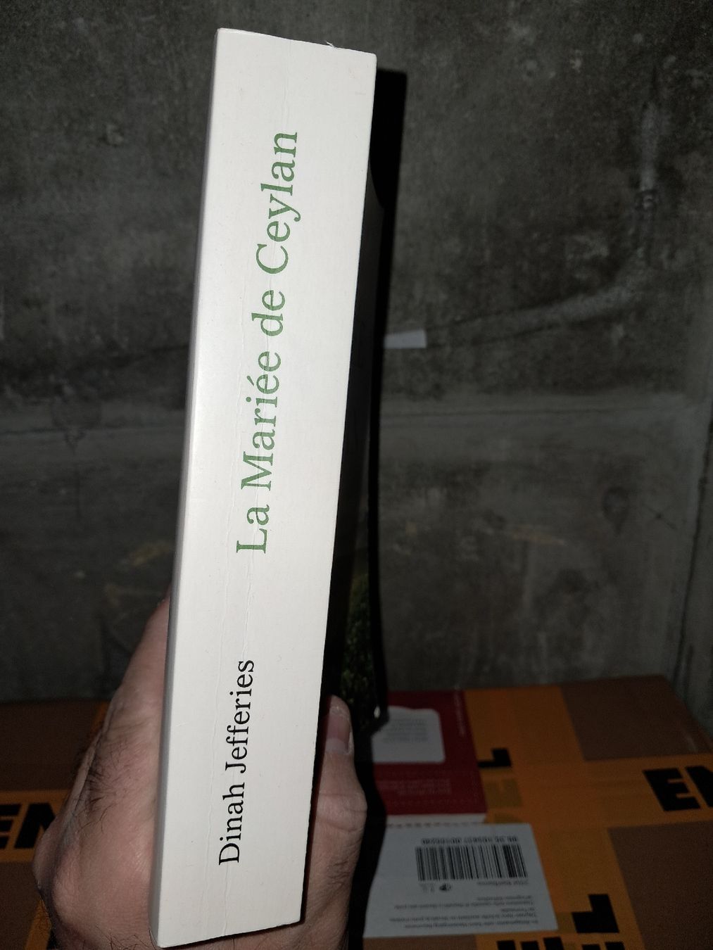 Libri: Dinah Jefferies La mariee de ceylan – Usato da Le locle venduto da juliensaran 2