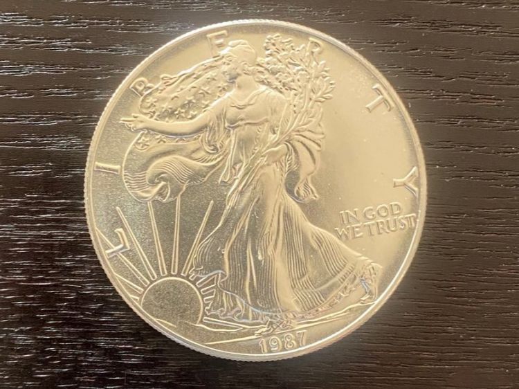 Toutes les monnaies: American Silver Eagle 1 oz – 1987 unzirkuliert – Neuf (Voir description) à Aarau par radilio01 2