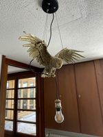 Hängeleuchte Eule goldfarben Skulptur Lampe gebraucht