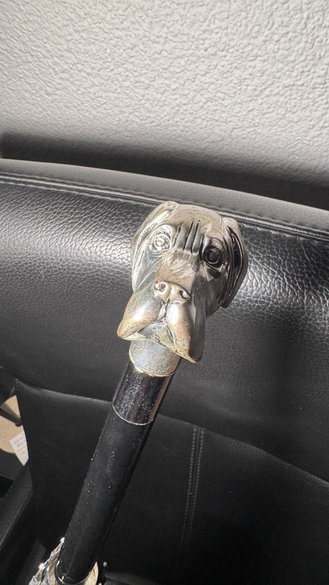 Ombrelli: Pasotti Schirm mit Labrador Handle – Usato da Brugg AG venduto da GiovanniVercetti 2