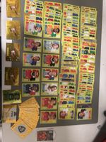 Panini WM 2026 Sticker Konvolut guter Zustand