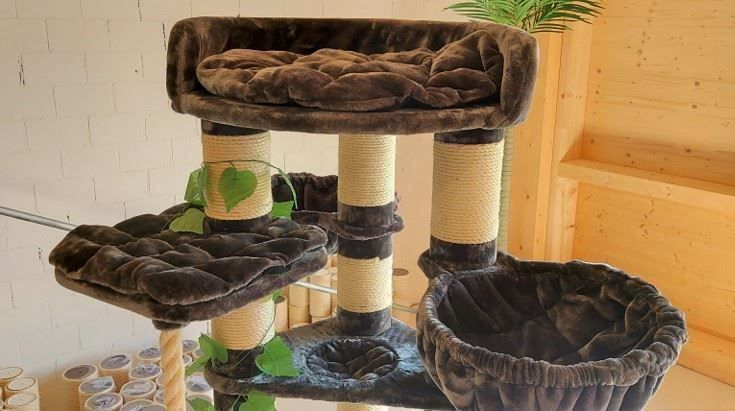 Katzenbaum - Kratzbaum: NATURA OEKO KRATZBAUM TOP ROBUST – Neu und originalverpackt aus Eschenbach LU von PETHOMES_AG 2
