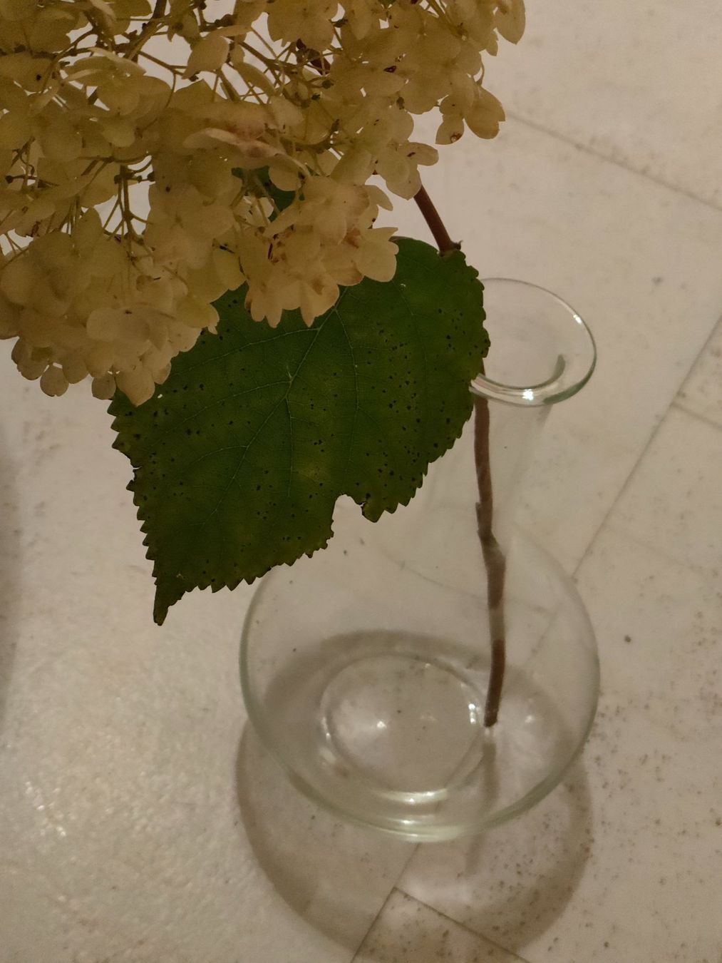 Glasi Hergiswil Vasi & Recipienti: Hergiswiler Vase alt – Usato da Brugg AG venduto da Mashaba 1