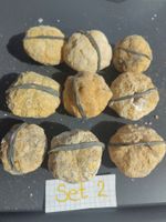 9 Stück Geoden klein 4cm Set 2 neu deko aus Marokko