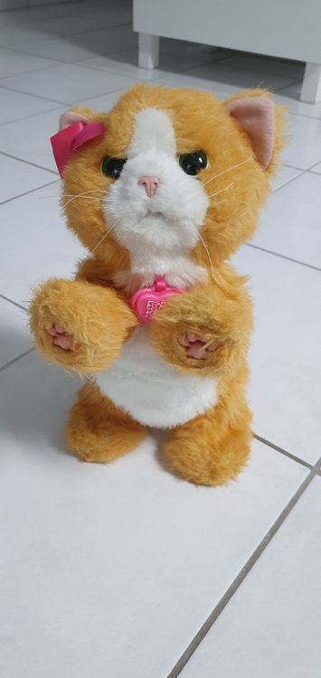 Peluche chat joueur