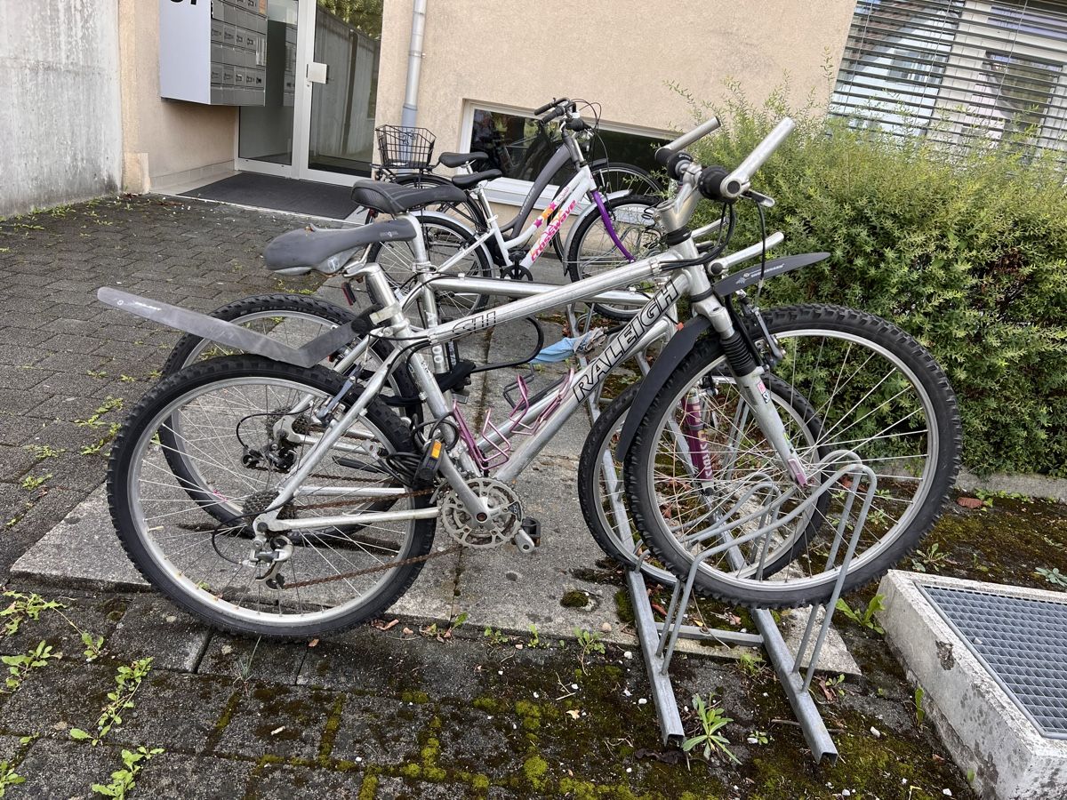 Raleigh Biciclette: Mountainbike Raleigh – Usato da Uster venduto da NElsner 1
