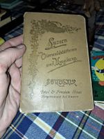 Luzern Vierwaldstättersee Büchli  antik Rarität!1898